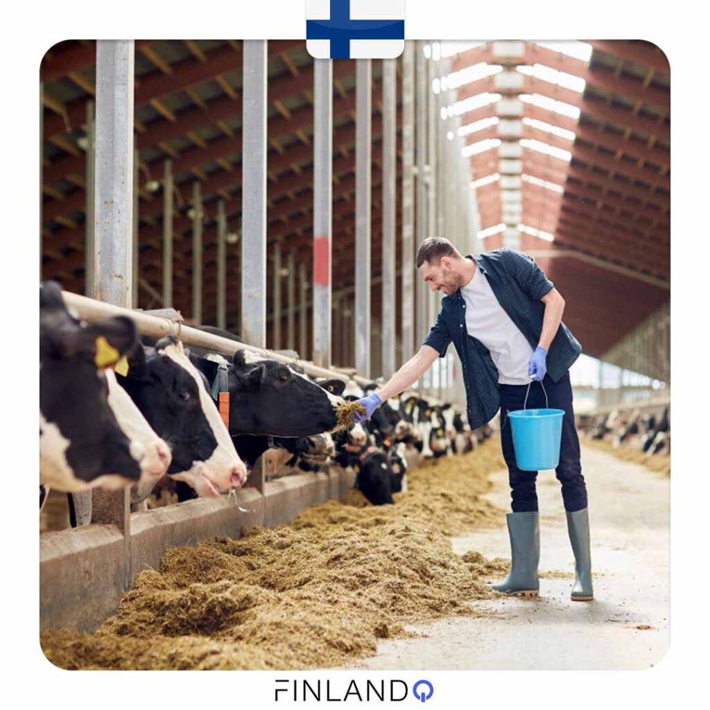 Entrepreneurial Rural and Animal Care Course in Finland