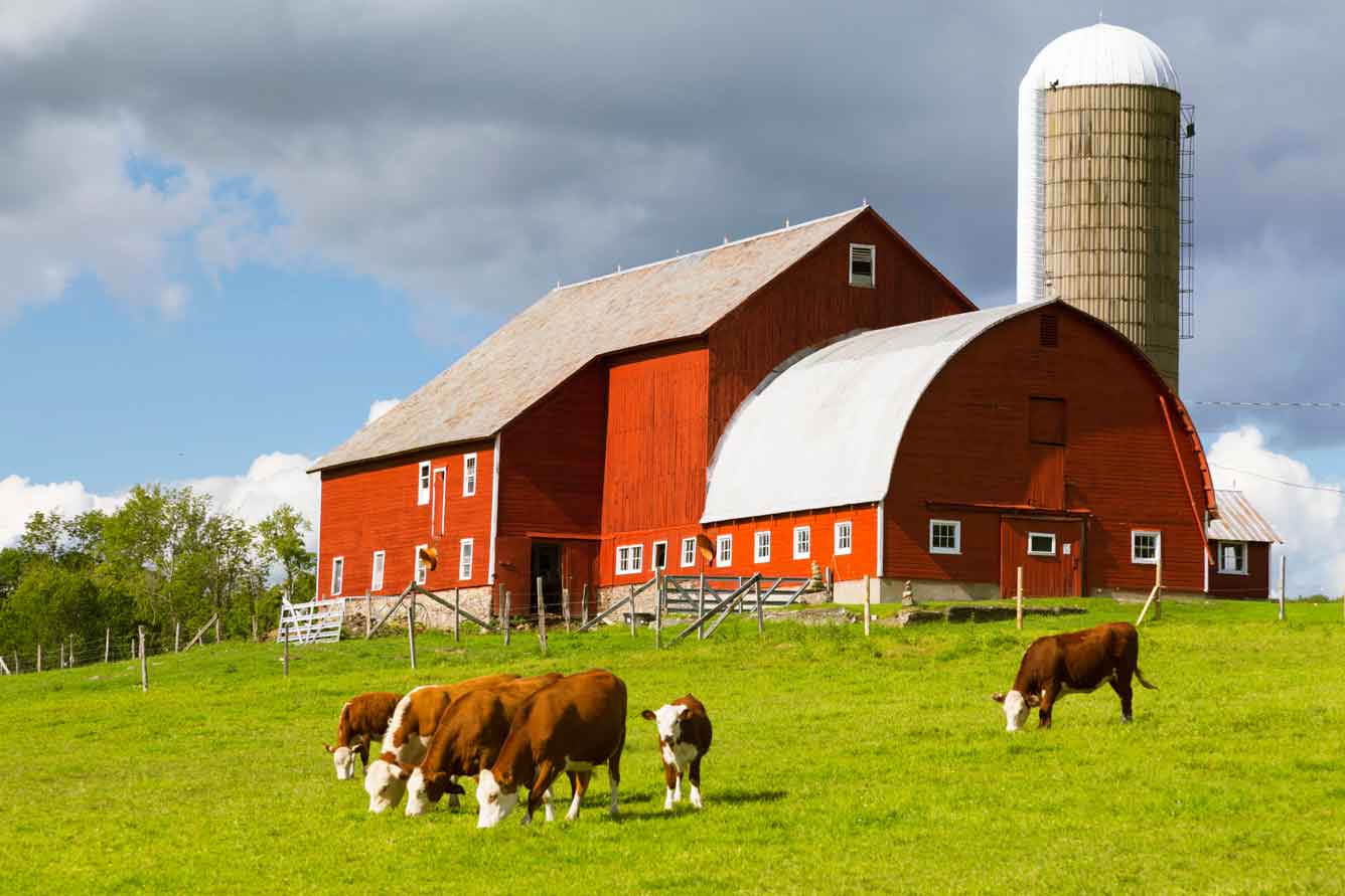 Entrepreneurial Rural and Animal Care Course in Finland